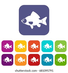 Fish icons set vector illustration in flat style in colors red, blue, green, and other