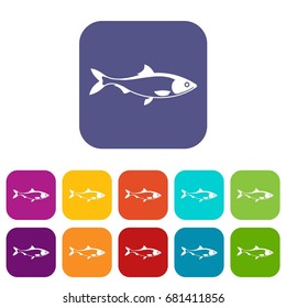 Fish icons set vector illustration in flat style in colors red, blue, green, and other