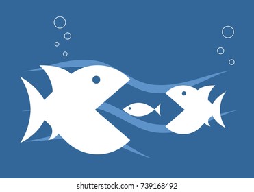 Fish illustration