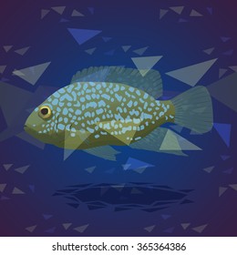 Fish illustration with abstract background