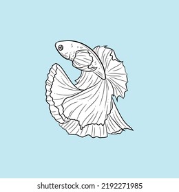 Fish illustration, drawing of a betta fish, siamese fighting fish vector design