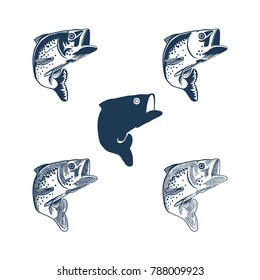 Fish Illustration for Fishing Store Label of Logo. Vector illustration