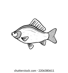 Fish Illustration hand drawn cartoon sketch lineart vintage style vector