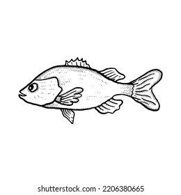 Fish Illustration hand drawn cartoon sketch lineart vintage style vector