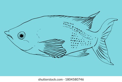 Fish illustration. Icon. Vector EPS 10.