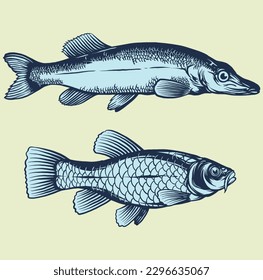 fish  illustration line art vector drawing 