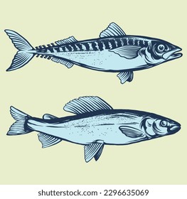 fish  illustration line art vector drawing 