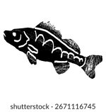 Fish illustration vector isolated. Fish for seafood menu vector illustration.