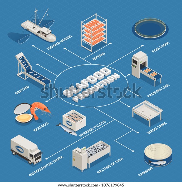 Fish Industry Seafood Production Isometric Flowchart Stock Vector (Royalty Free) 1076199845