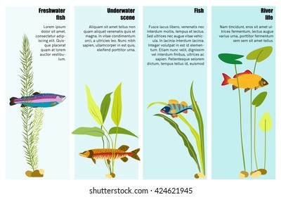 Fish information flyer. Vector inforgraphics.  Colorful fish and Water plants. Info poster or flyer, advertising banner.