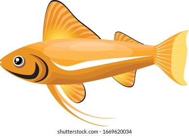 Fish isolated on white background. illustration vector