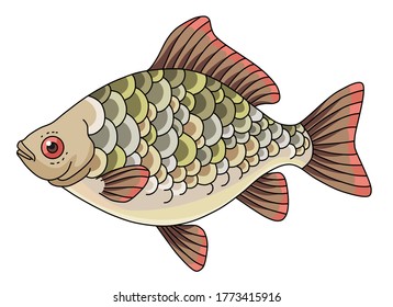 Fish isolated on white background. Vector illustration for your design and decoration
