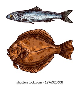 Fish isolated vector color sketch icon.