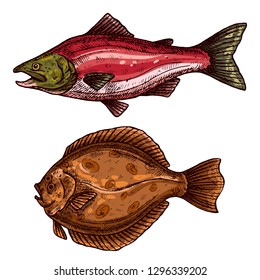 Fish isolated vector color sketch icon.