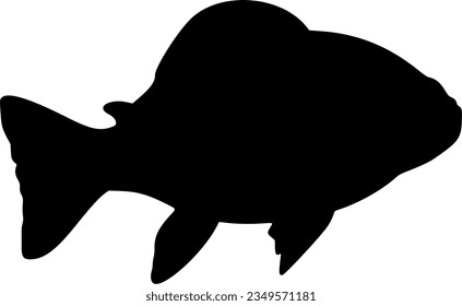 fish isolated vector silhouette icon