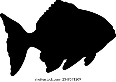 Fisch einzeln auf Vektorsilhouette