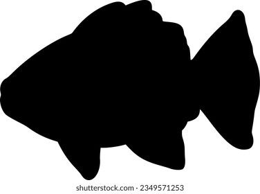 fish isolated vector silhouette icon