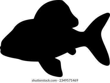 fish isolated vector silhouette icon