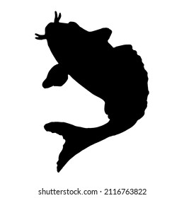 Fish japanese carp.Hand drawn koi fish. Japanese carp line doodle .Black illustration,doodles,abstraction,vector.