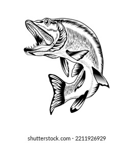 Diseño de vectores de agua de salto de peces.