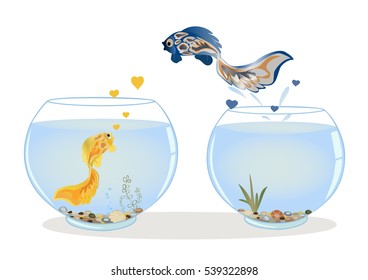 Fish jumping to his lover