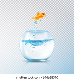 Fish jumping out bowl composition with realistic aquarium vessel and golden carp fish on transparent background vector illustration