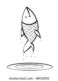 fish jumping from the water