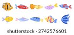 Fish kawaii set with cute children swordfish and underwater aquarium reef. Sea clipart eel with hook puffer squid and vector animal fauna. Illustration ocean fish with chest childlike cute