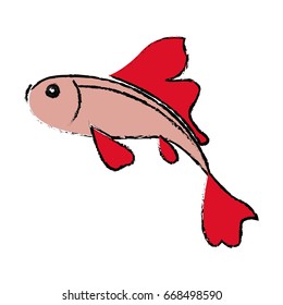 fish koi chinese animal asian decorative image