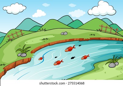 Fish in the lake with green grass on the bank of the river