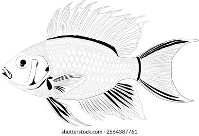 Fish line art for coloring book pages and Trace and color for kids, fish vector line art