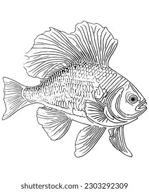 Fish Line Art Illustration Captivating Underwater Wildlife in Detailed Strokes
