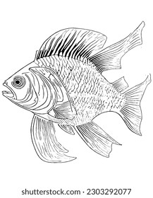Fish Line Art Illustration Delicate and Detailed Underwater Beauty in Monochromatic Strokes