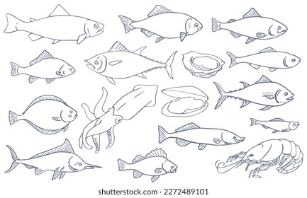 Fish line drawing vector collection