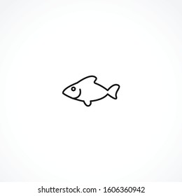 Fish line icon on white background. Fish line icon on white background. Fish line icon on white background. 