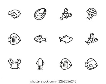 Fish line icon set. Set of line icons on white background. Maritime concept. Shell, turtle, fish, whale.  Vector illustration can be used for topics like sea, ocean