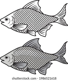 ilustración vectorial de línea de pescado aislada en fondo blanco.animales vista superior .dibujo de pez