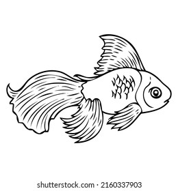 fish line vector illustration,isolated on white background,top view