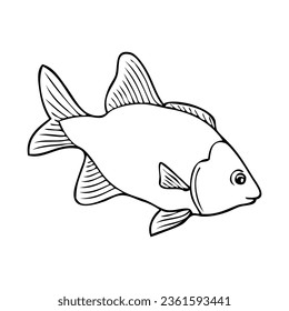 ilustración vectorial de línea de pescado, aislado en fondo blanco, vista superior