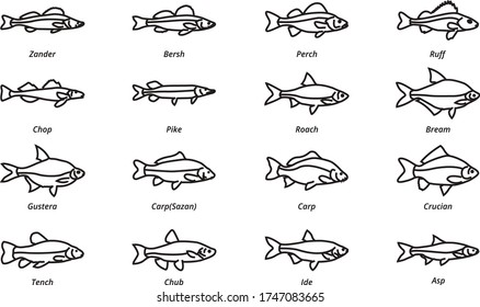 Fish linear icon. River fishing fish. Pack 3