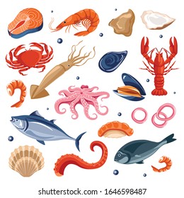 Fish and lobster, fresh seafood, crab and prawn or shrimp vector. Squid and salmon, oysters and mollusks, octopus tentacles, restaurant or cafe menu. Dishes and meals of underwater sea animals