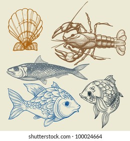 Fish, lobster, shell vector set