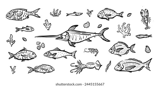 Fish, lobster, shrimp and squid hand drawn illustration. Ocean fish and sea life outline elements set. Seafood black white vector graphic. Design for branding, restaurant and menu.