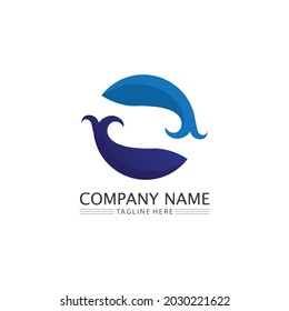 Fish logo and aquatic Maritime concept. Shell, turtle, fish, whale. Vector illustration can be used for topics like sea.