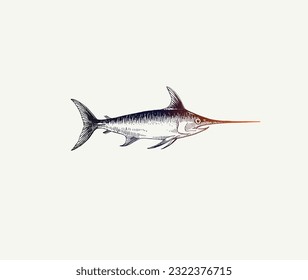 fish logo design in lines