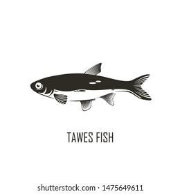 fish logo design for your projects