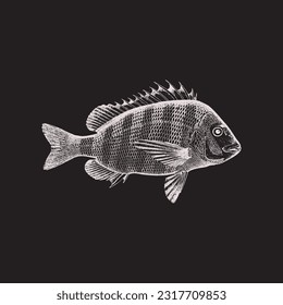 Icono del logotipo del pescado ilustración aislada del vector.