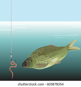 Fish looking at a worm on a hook