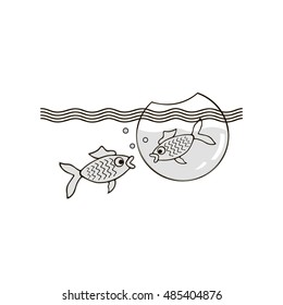 the fish looks at the fish in the aquarium