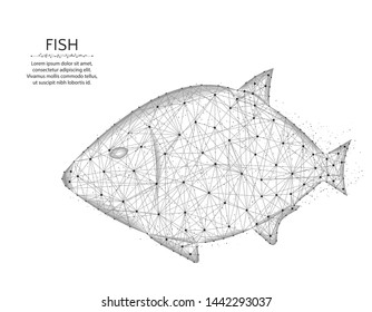 Fish low poly design, aquatic animal abstract geometric image, underwater world wireframe mesh polygonal vector illustration made from points and lines on white background